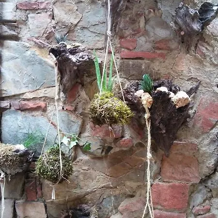 Casa Giulia On Francigena アパート *