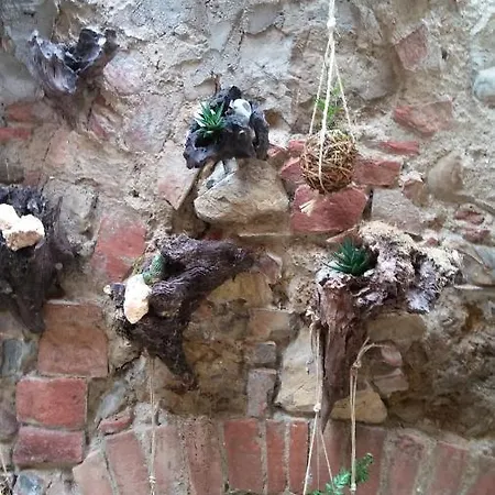 Casa Giulia On Francigena 아파트 감바시